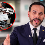 Permiso para porte de armas de fuego